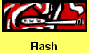 Flash