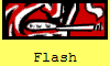 Flash